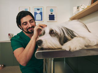 Veterinarian Scrubs